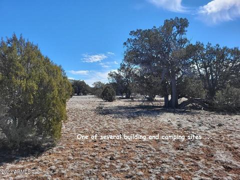 673 N Stone Lk #673, Williams, AZ 86046