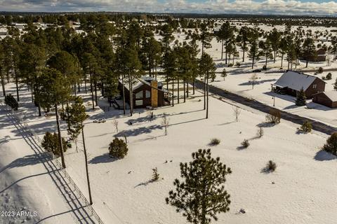 2246 Bear Claw Dr, Overgaard, AZ 85933 photo 41