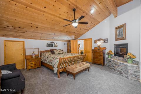 2246 Bear Claw Dr, Overgaard, AZ 85933 photo 29