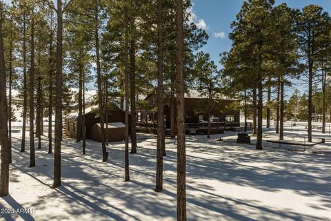 2246 Bear Claw Dr, Overgaard, AZ 85933 photo 46