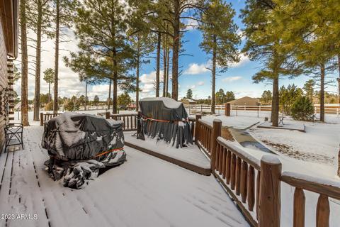2246 Bear Claw Dr, Overgaard, AZ 85933 photo 50