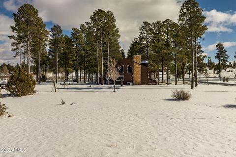2246 Bear Claw Dr, Overgaard, AZ 85933 photo 40