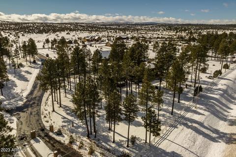 2246 Bear Claw Dr, Overgaard, AZ 85933 photo 42