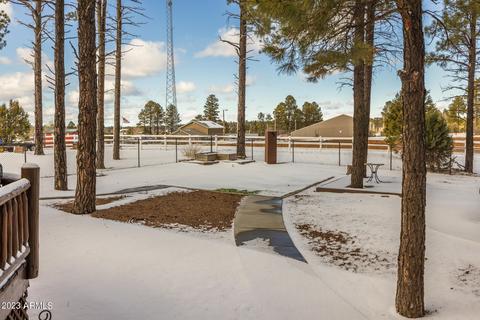 2246 Bear Claw Dr, Overgaard, AZ 85933 photo 51