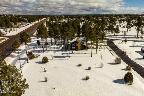 2246 Bear Claw Dr, Overgaard, AZ 85933 photo 39