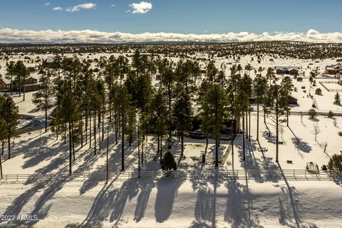 2246 Bear Claw Dr, Overgaard, AZ 85933 photo 38