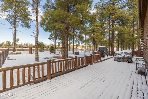 2246 Bear Claw Dr, Overgaard, AZ 85933 photo 49