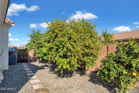 3025 E Fruitvale Ave, Gilbert, AZ 85297 photo 50