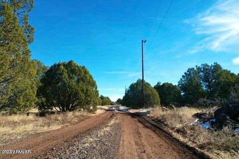 0 E Lakeland Rd 33 Acres -- #12, Show Low, AZ 85901