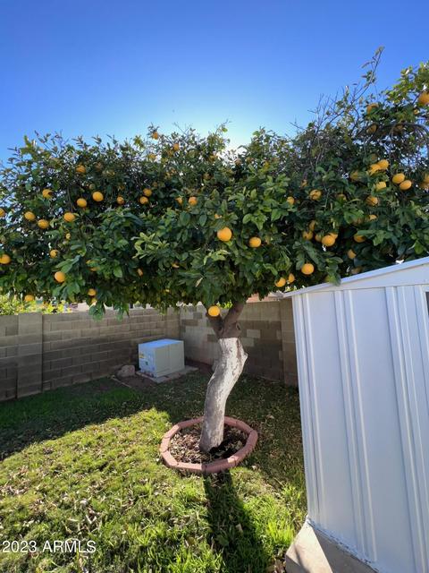 2831 E Contessa St, Mesa, AZ 85213 photo 27