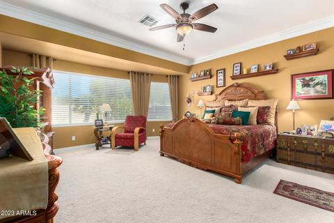 8518 E Nido Ave, Mesa, AZ 85209 photo 15