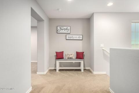20182 W Moonlight Path, Buckeye, AZ 85326 photo 14