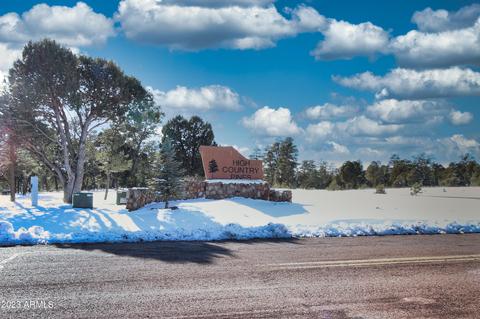 1456 Low Mountain Trl, Heber, AZ 85928
