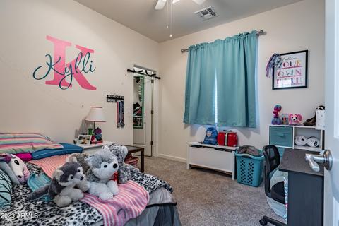 2859 E Pearl St, Mesa, AZ 85213 photo 20