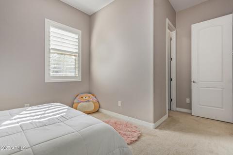 10508 E Relativity Ave, Mesa, AZ 85212 photo 27