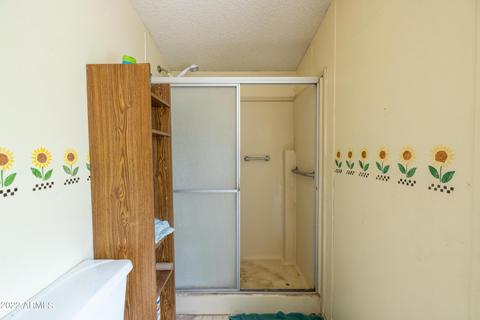 1259 S Hale Dr, Apache Junction, AZ 85120 photo 41