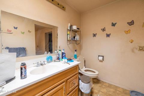 1259 S Hale Dr, Apache Junction, AZ 85120 photo 49