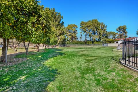 3365 E Mcdowell Rd, Mesa, AZ 85213 photo 58