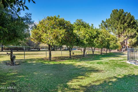 3365 E Mcdowell Rd, Mesa, AZ 85213 photo 55