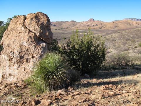 lot40 N Hidden Oaks Trail 387 Acres -- #40, Douglas, AZ 85607