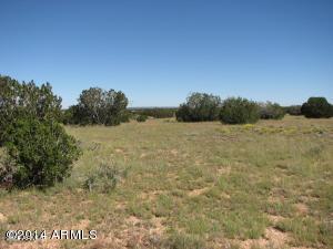 5873 Canyon View Lot 101 Dr #101, Heber, AZ 85928