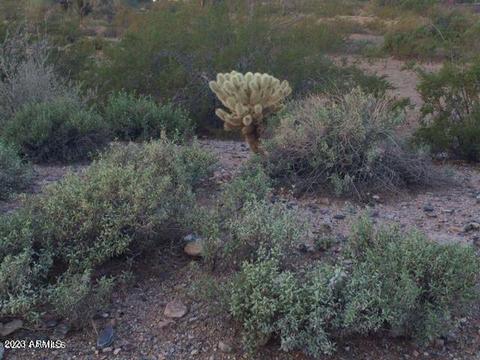 46 N Nnn N Quiet Hills Dr #21E, Morristown, AZ 85342