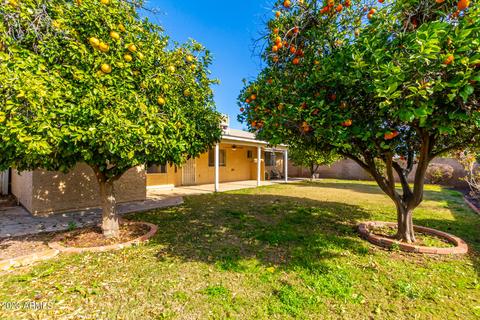 2225 E Dolphin Ave, Mesa, AZ 85204 photo 26