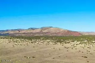 53284 N Arroyo Dr #496, Seligman, AZ 86337