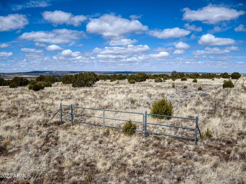 0 Lot 69 Pine Ridge Rnch #69, Vernon, AZ 85940