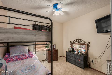 9352 E Dallas St, Mesa, AZ 85207 photo 23