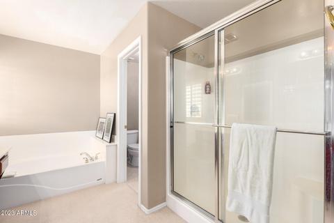 1024 E Frye Rd #1014, Phoenix, AZ 85048 photo 20