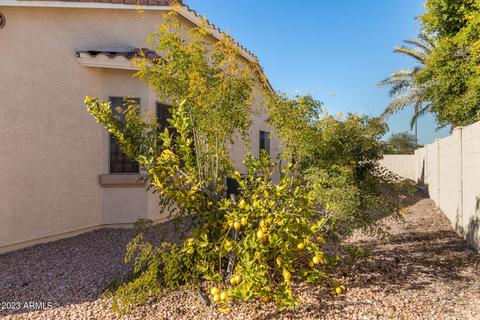 147 E Frances Ln, Gilbert, AZ 85295 photo 40
