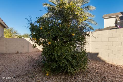 147 E Frances Ln, Gilbert, AZ 85295 photo 39