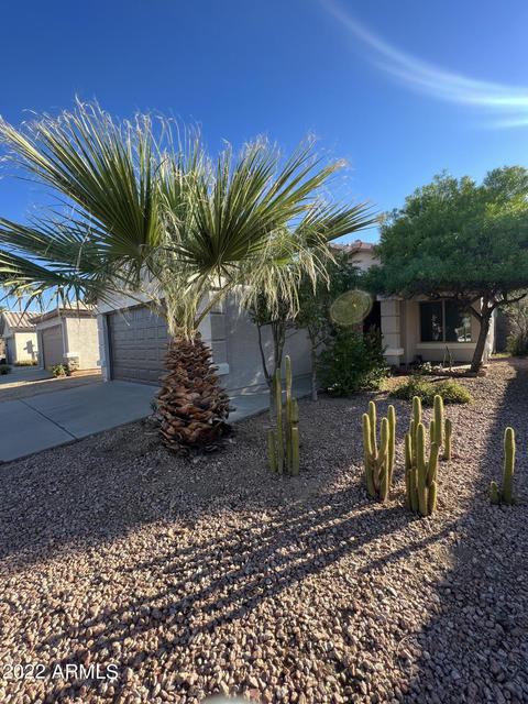 4807 N 84th Dr, Phoenix, AZ 85037 photo 2