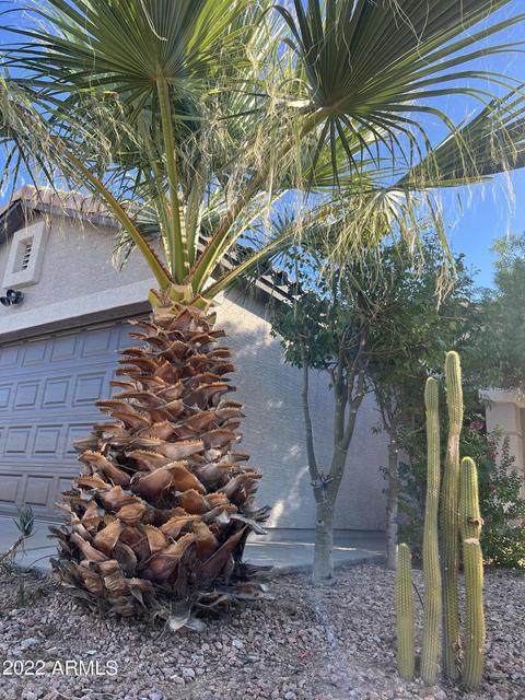 4807 N 84th Dr, Phoenix, AZ 85037 photo 21