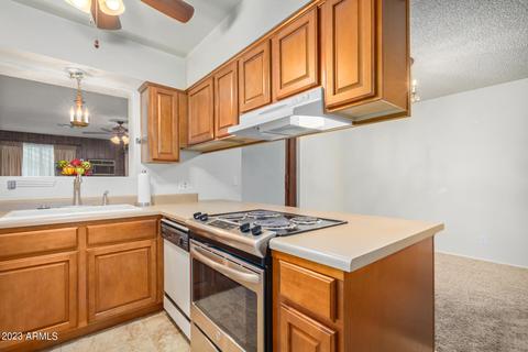 1044 E 10th Ave, Mesa, AZ 85204 photo 8
