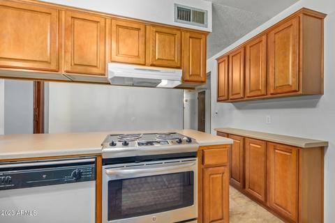 1044 E 10th Ave, Mesa, AZ 85204 photo 9