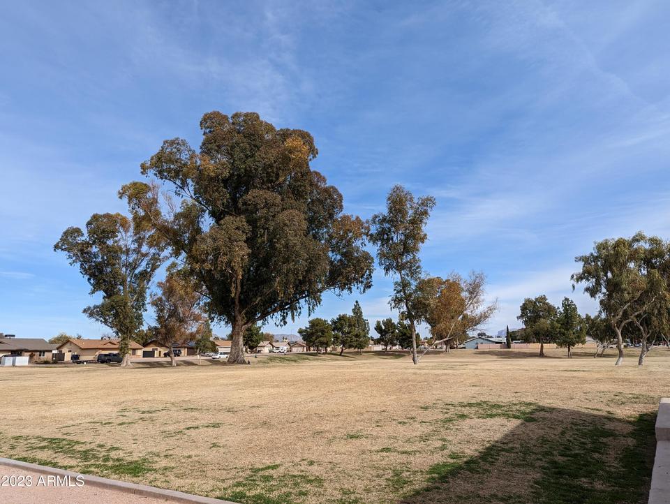  7340 E Drummer Ave, Mesa, AZ 85208 photo 36