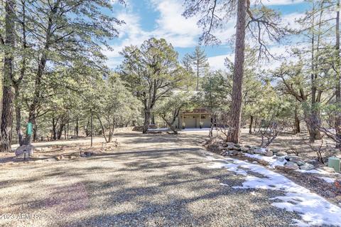 4851 N Sunrise St, Pine, AZ 85544 photo 42