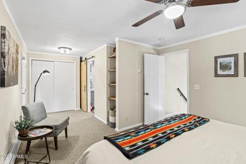 4851 N Sunrise St, Pine, AZ 85544 photo 19
