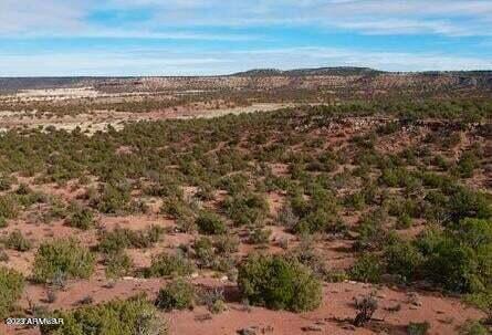 Tbd Yellow Rose 38.5 Acres --, White Mountain Lake, AZ 85912