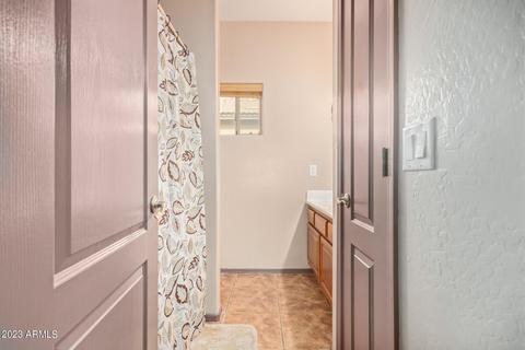 910 S Phelps Dr, Apache Junction, AZ 85120 photo 22