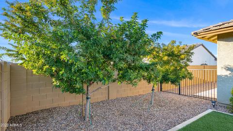 10131 E Tupelo Ave, Mesa, AZ 85212 photo 30