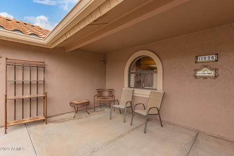 11036 E Knowles Ave, Mesa, AZ 85209 photo 4