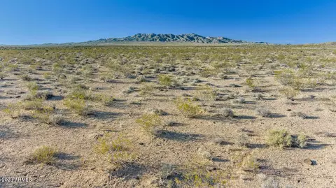 11820 N Joseph Rd #48, Dolan Springs, AZ 86441