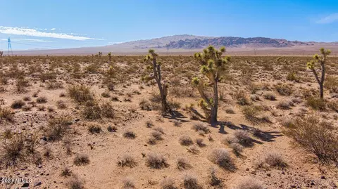 19169 N Cowboy Rd #59, Dolan Springs, AZ 86441