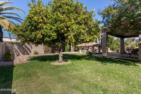 4504 Encinas Ave, Gilbert, AZ 85234 photo 47