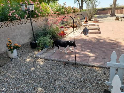 2400 E Baseline Ave #16, Apache Junction, AZ 85119 photo 4