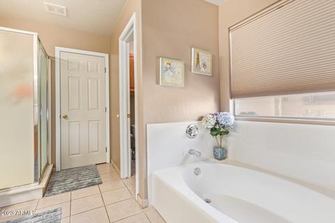 2090 E Arabian Dr, Gilbert, AZ 85296 photo 28