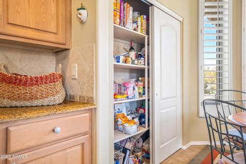 7664 E Wolf Canyon St, Mesa, AZ 85207 photo 14